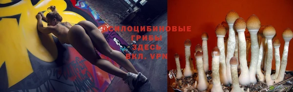соль ск Белоозёрский