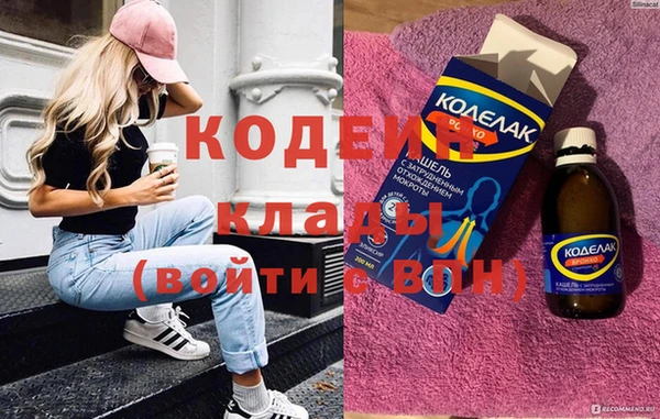 индика Богородск