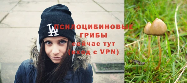 индика Богородск