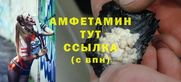 индика Богородск